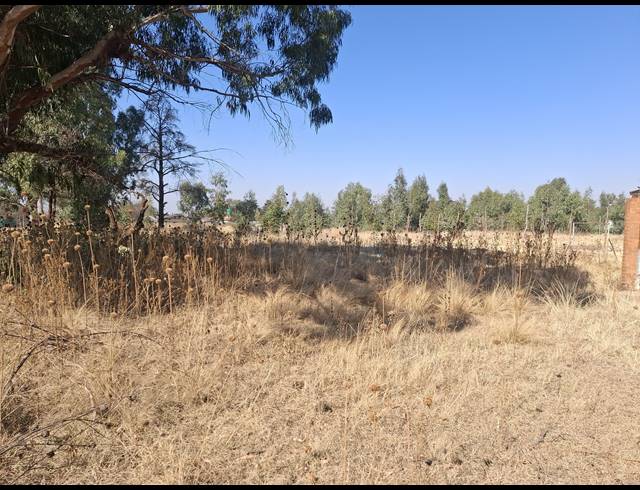 16,225M² SMALLHOLDING FOR SALE IN MIDDELVLEI AH